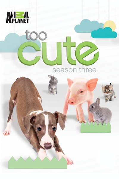 Too Cute - Season 3