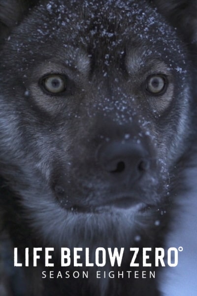 Life Below Zero - Season 18