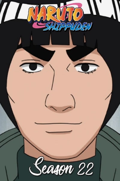 Naruto: Shippuden - Season 22 [Audio: Eng]