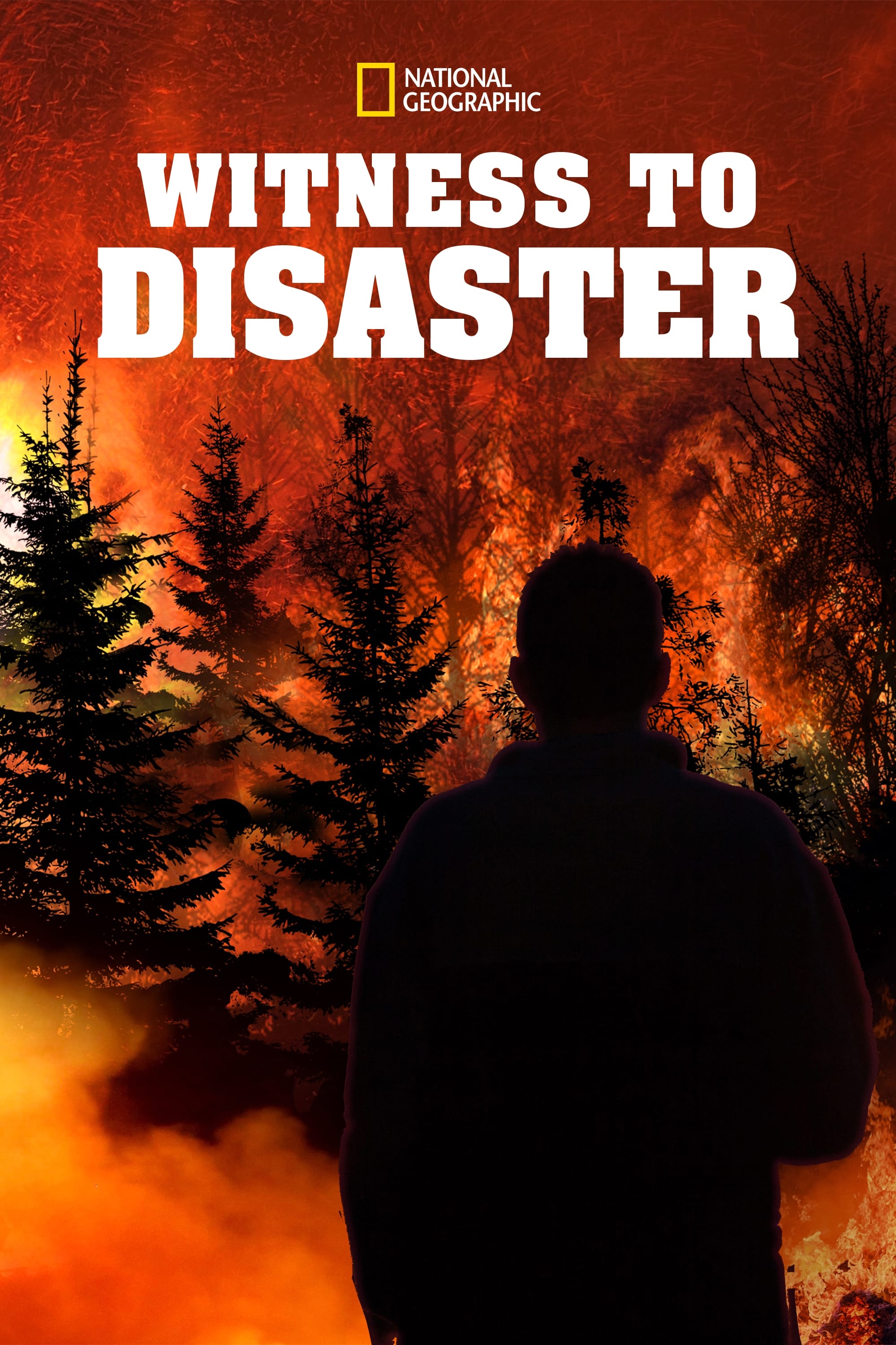Witness to Disaster - Season 1