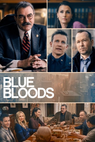 Blue Bloods - Season 13