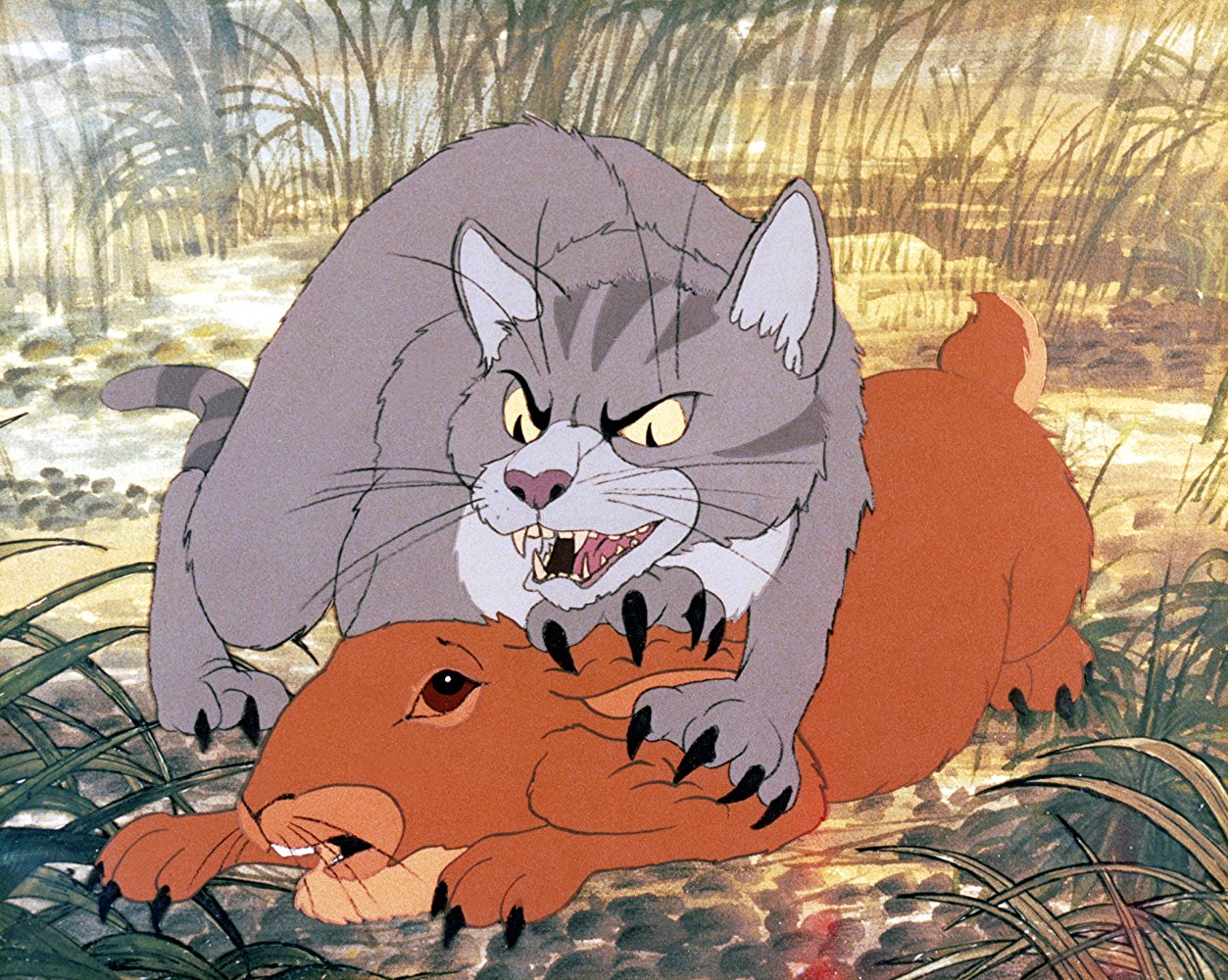 Cat