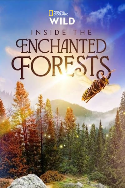 Inside the Enchanted Forests - Season 1