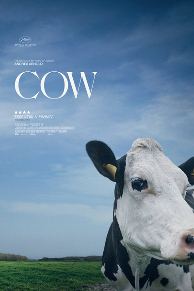 Cow (2022)