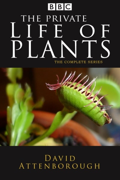 The Private Life of Plants - Season 1