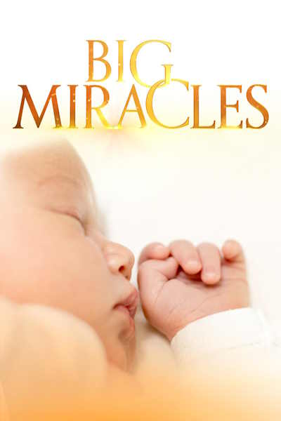Big Miracles - Season 2