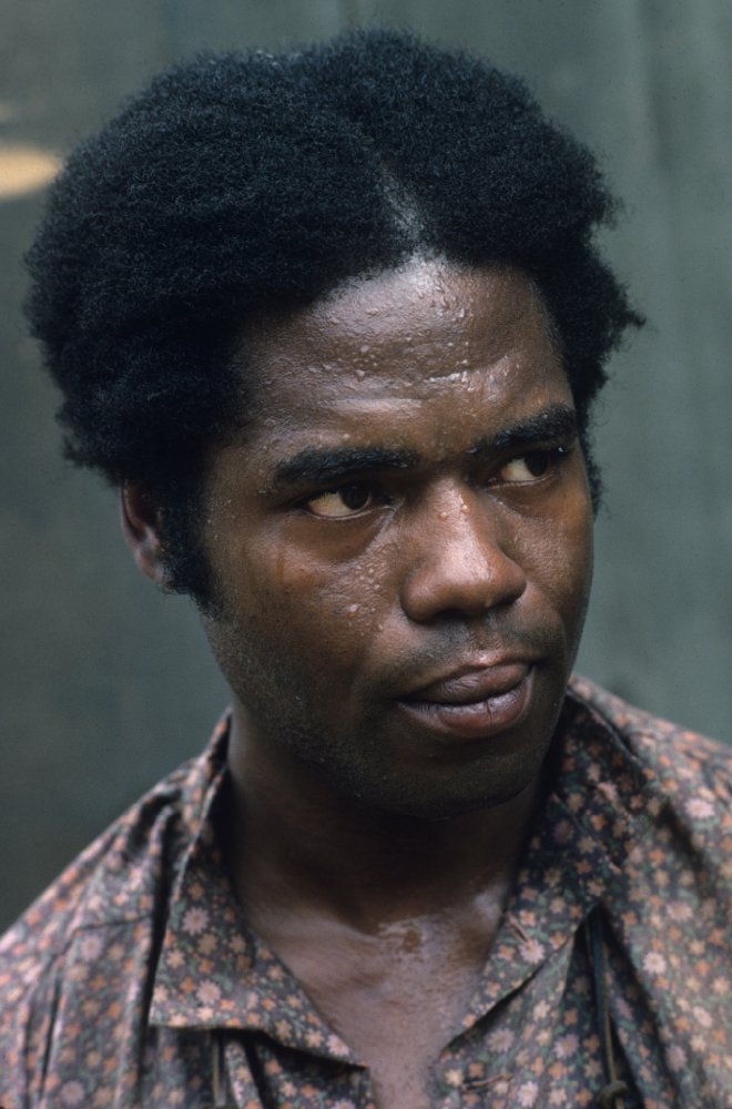 Georg Stanford Brown