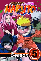 Naruto - Season 5 [Audio: Eng] - Dubl