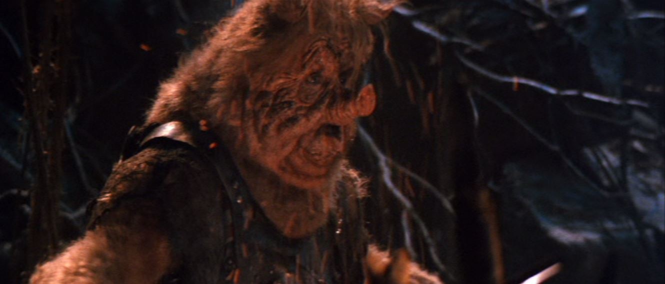 Pox