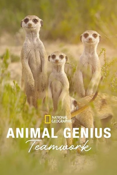 Animal Genius - Season 1