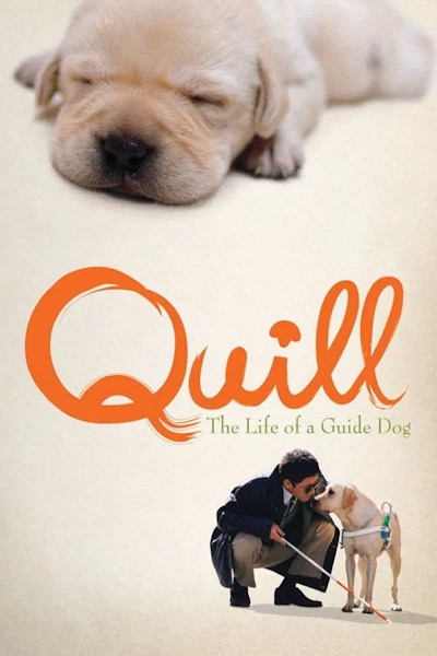 Quill The Life of a Guide Dog (Kuiru)